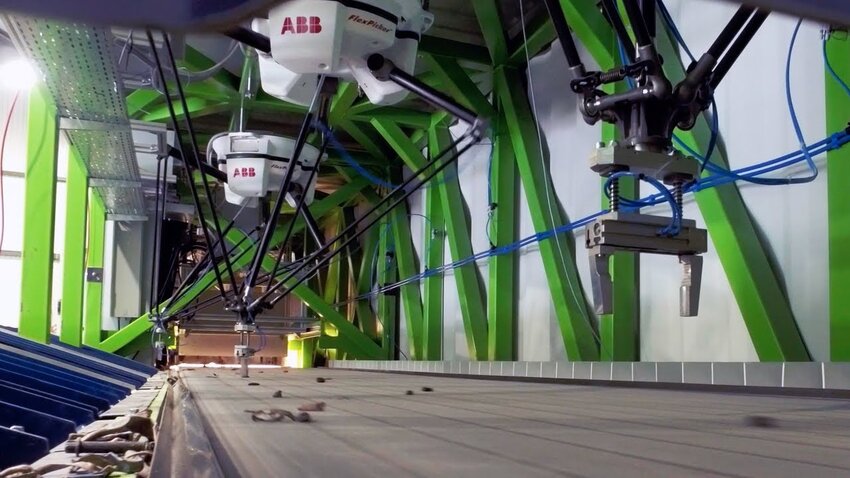 Delta robot performing high-speed sorting